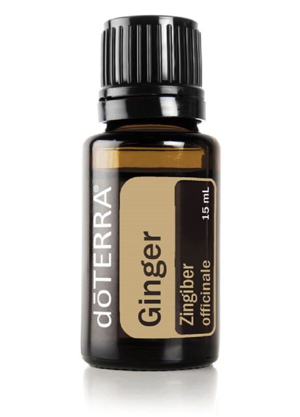 doTERRA Gember essentiële olie-Ginger, 15 ml (Zingiber officinale)