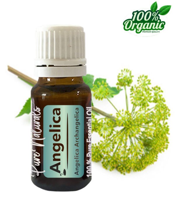 Pure Naturals – Angelica (Engelwortel) – 10 ml